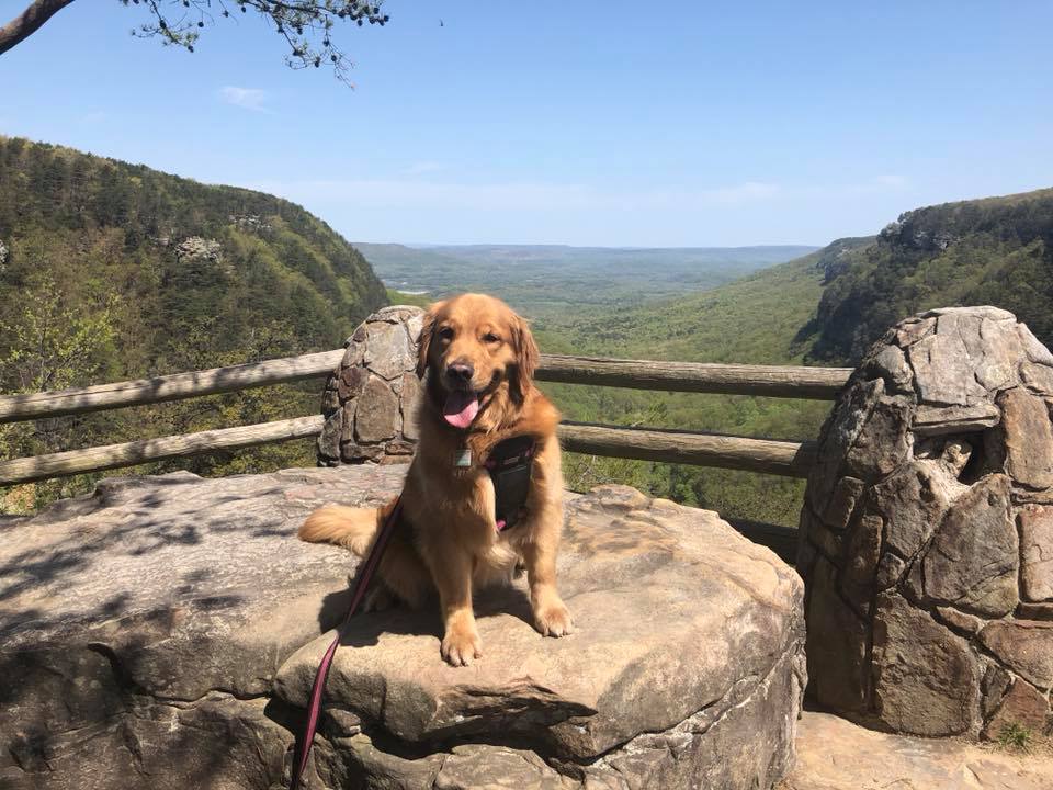 30740149_10101630264478951_4303401387703664640_n