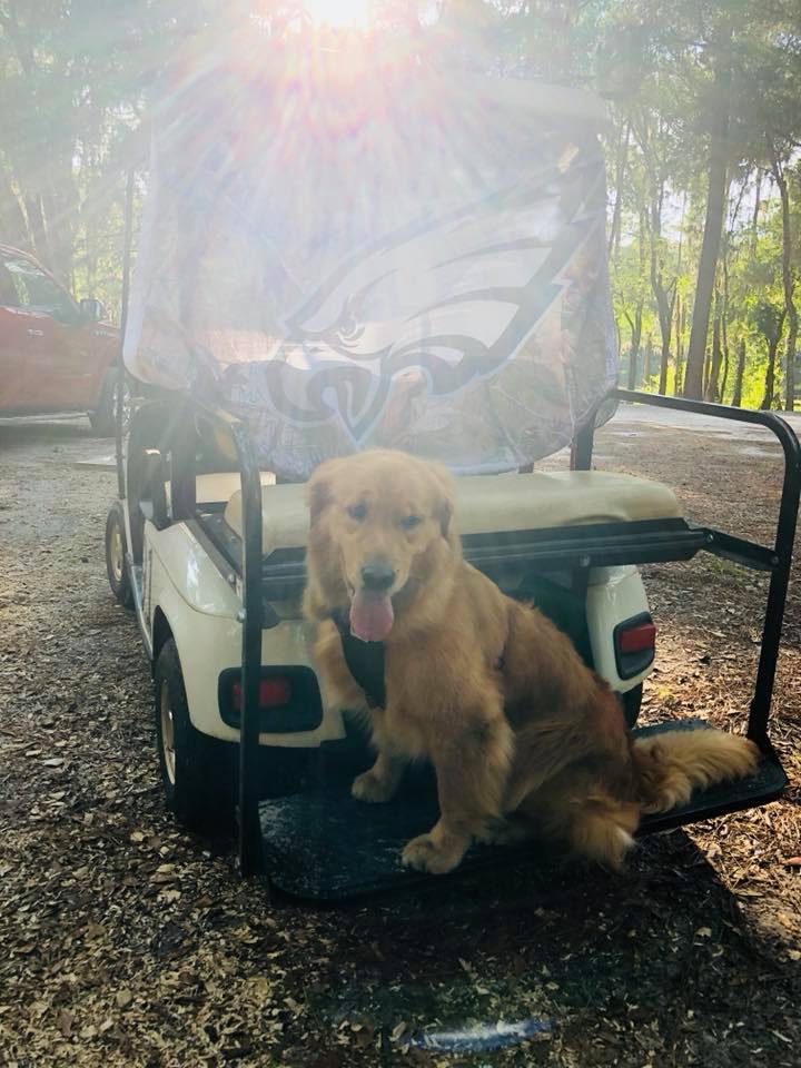 35026514_10101669263574451_6876891576094687232_n